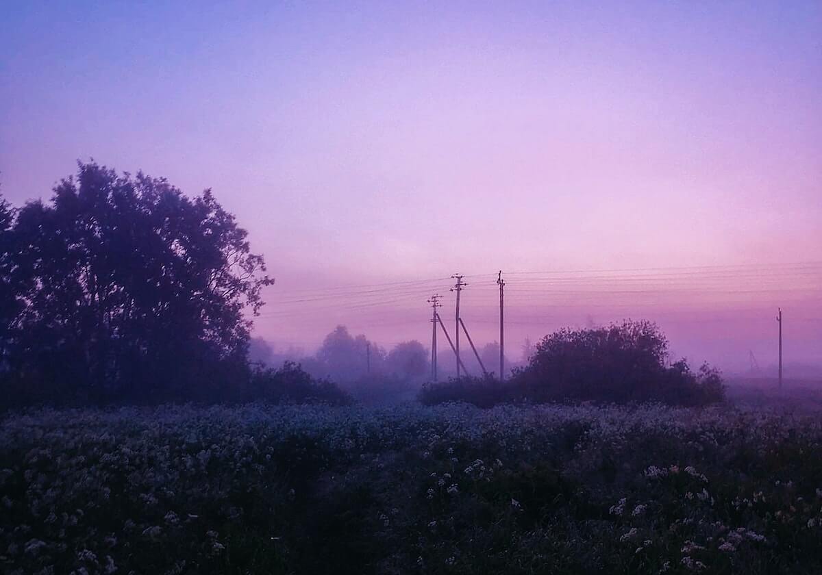 九游体育-恭喜中国女篮战胜巴西女篮